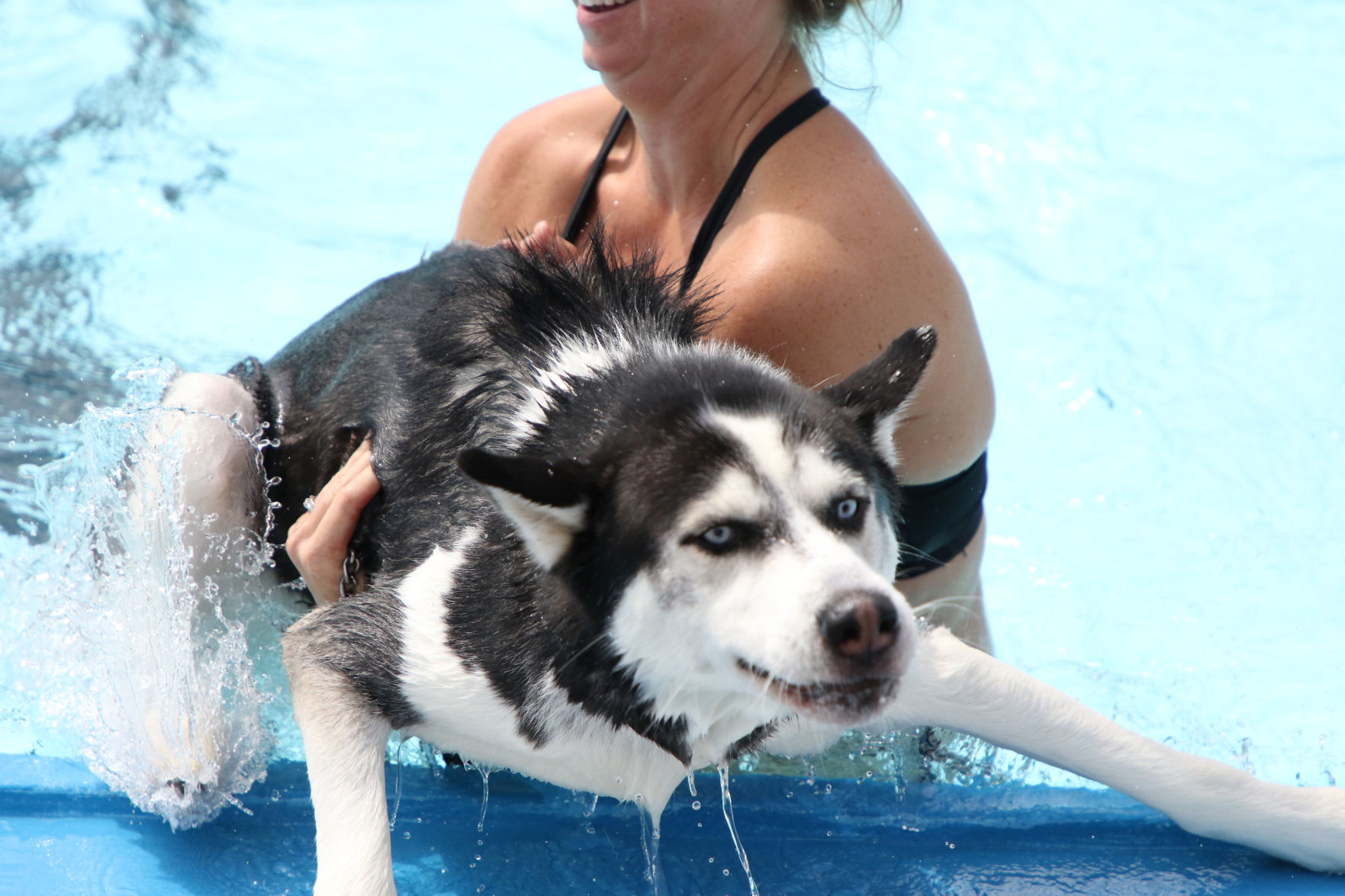 Dogs at the pool (15).JPG